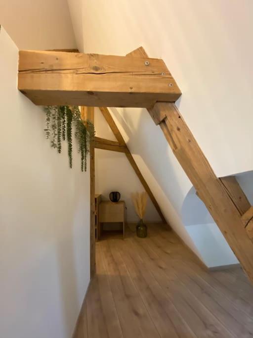 Les Toits D'Austerlitz Apartment Strasbourg Ngoại thất bức ảnh